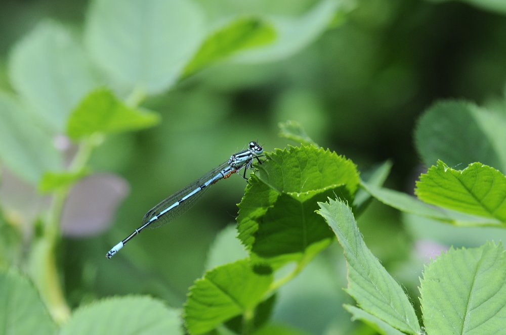 Photograph by Александр Руденко