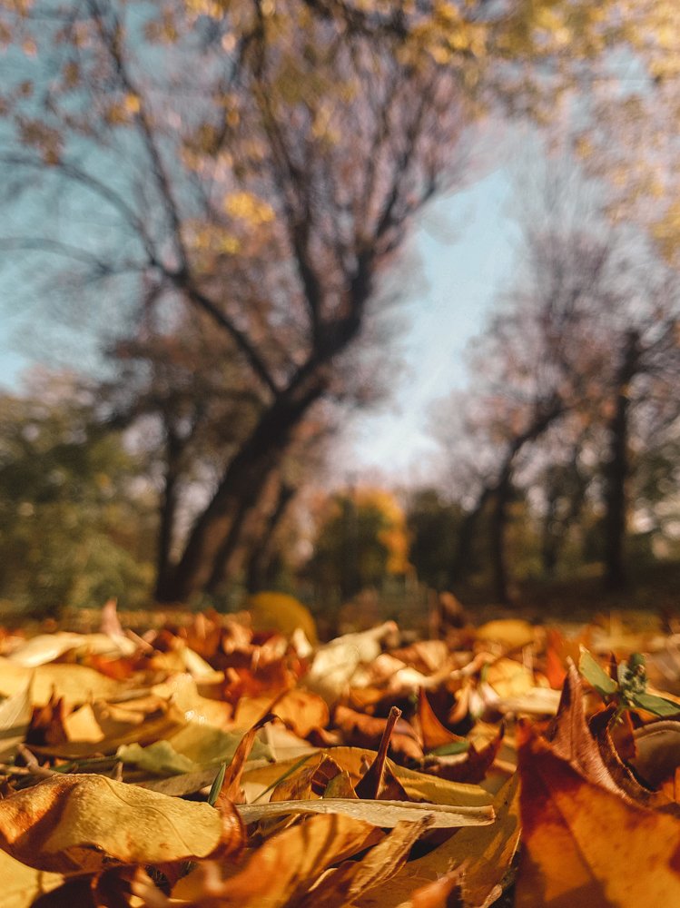 Photograph by Дарья Прусс