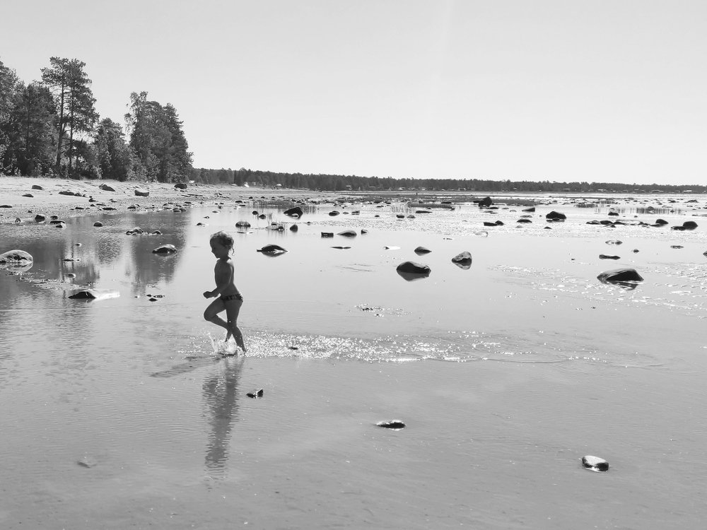 Photo #5195464