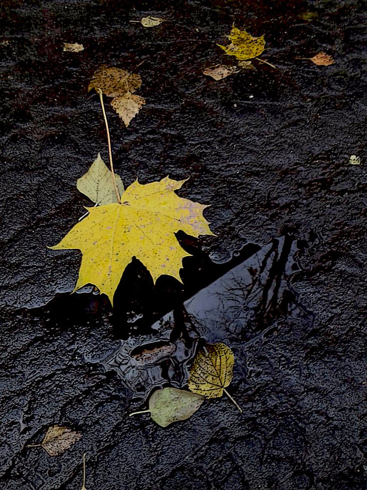 Фотография автора Владислава Андрюнина