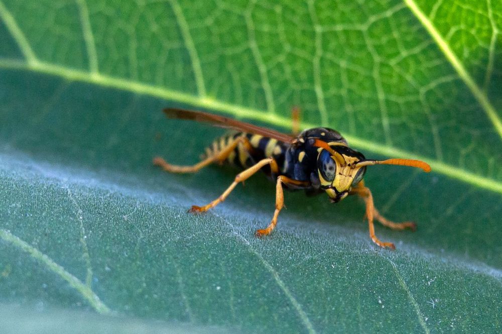 Photograph by Александра Калиниченко