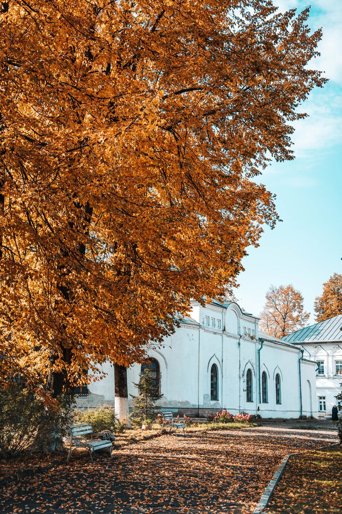 Осеннее настроение