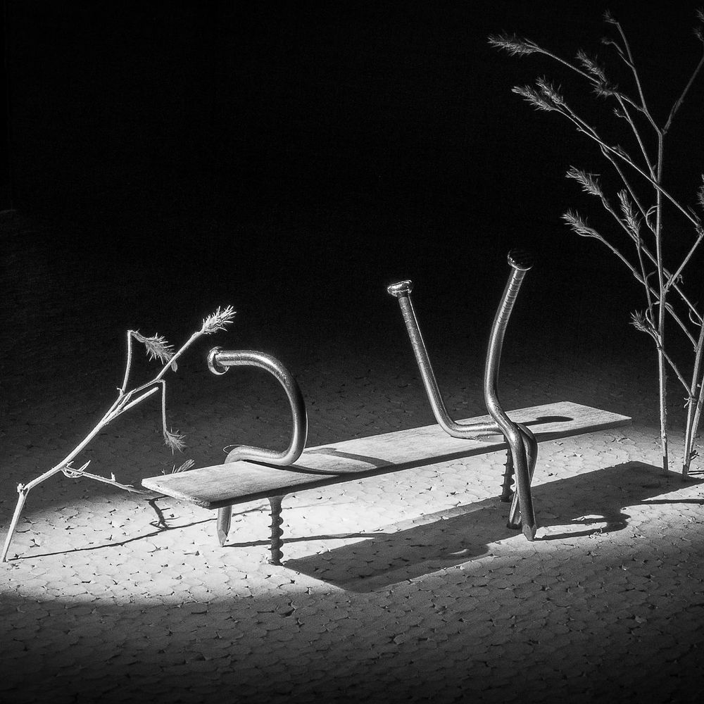 Photograph by Mansoor Heydaryan