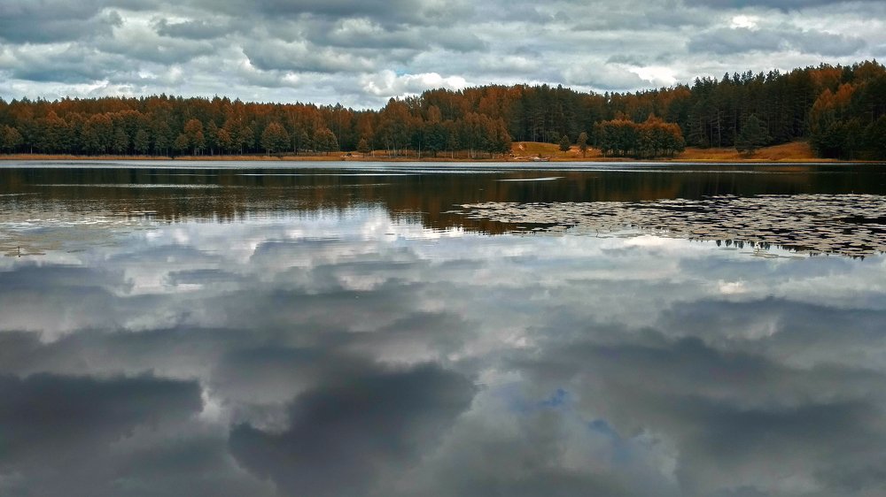 Photograph by 