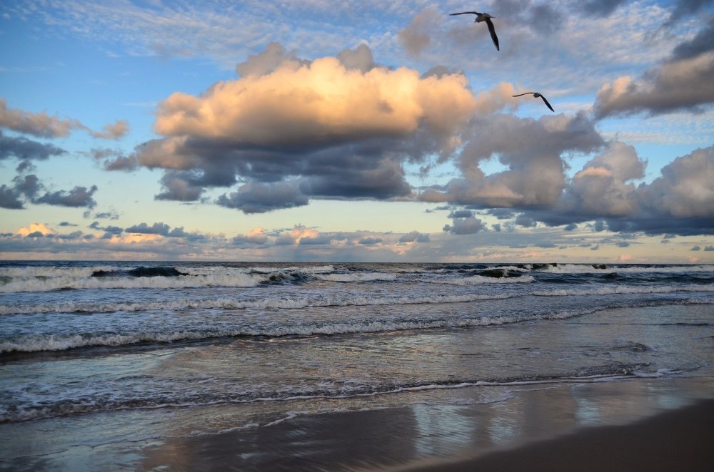 Photograph by Galina Baranovskaja