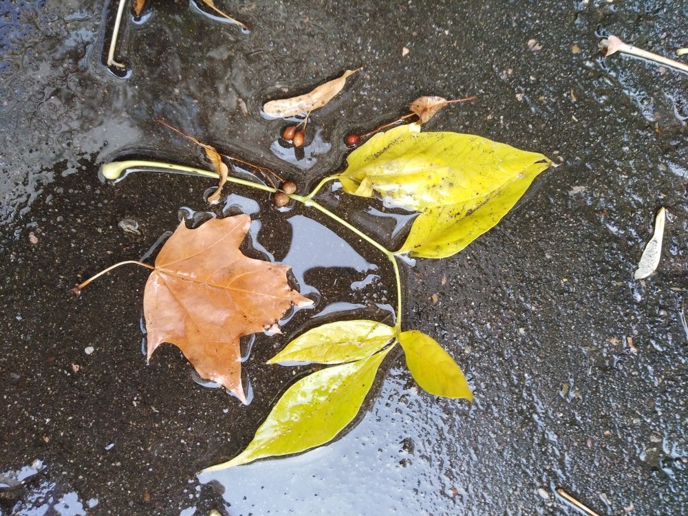 Photograph by Татьяна Ситникова