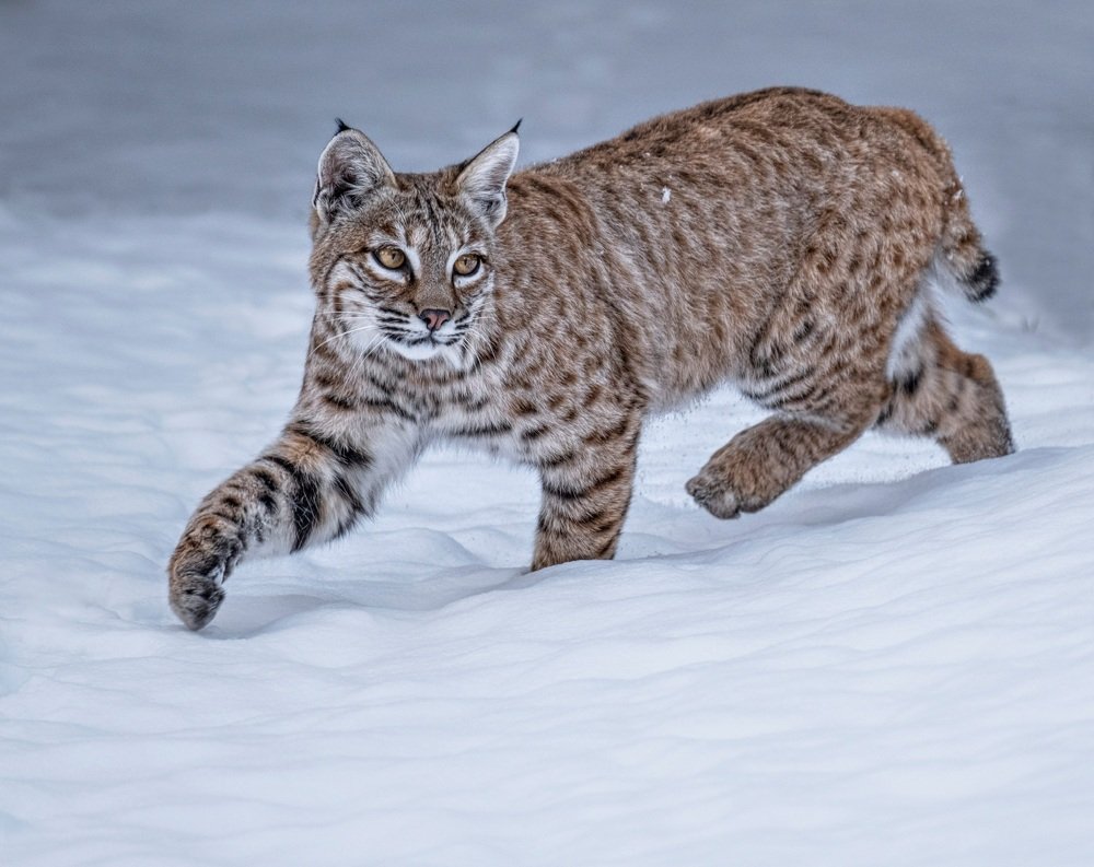 Photograph by David Miranda