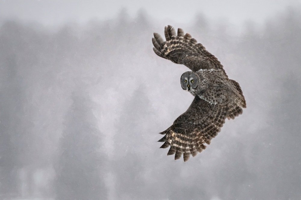 Photograph by David Miranda