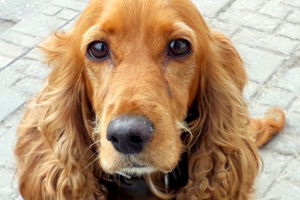 Глаза в глаза