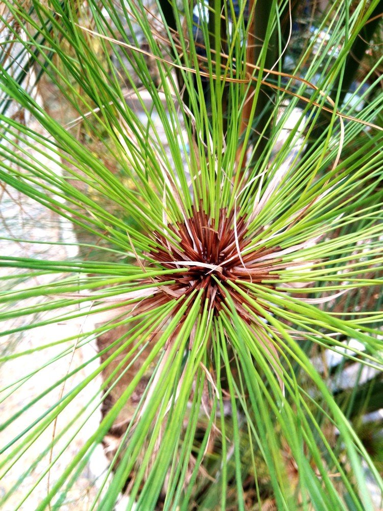 Photograph by Светлана Саиди