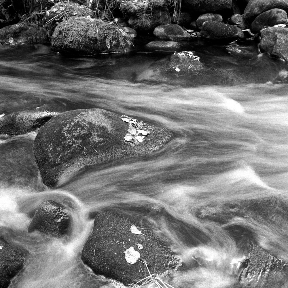 Photograph by Andres Papp