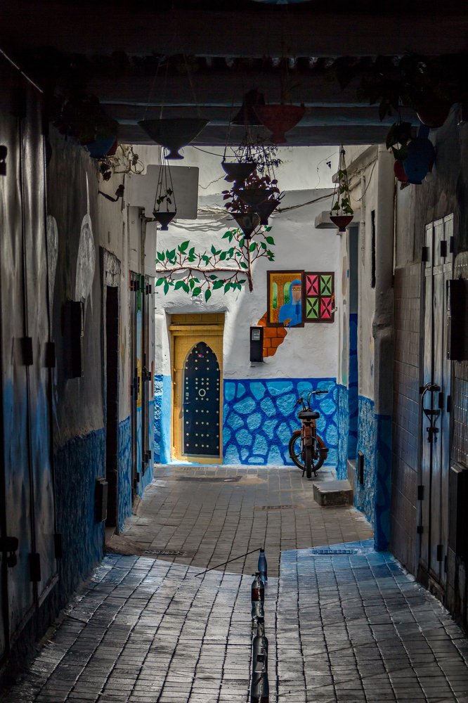 Photograph by Светлана Саиди