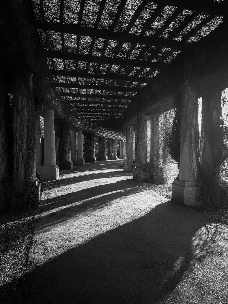 Photograph by Дарья Прусс