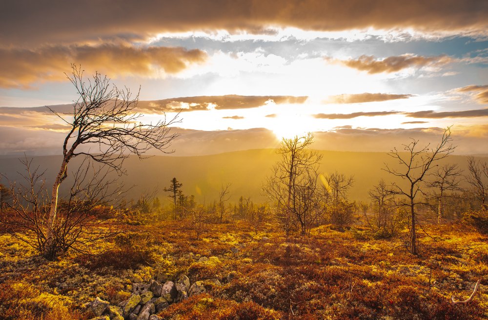 Photograph by Andrey Chuntomov