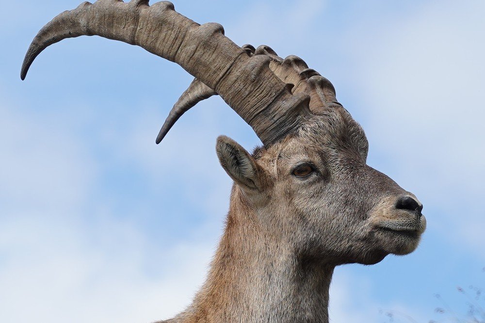 Photograph by Владислав