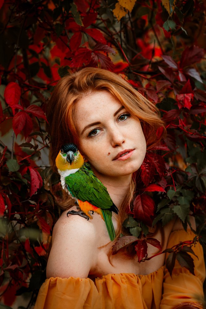 Photograph by Tereza Cesalova