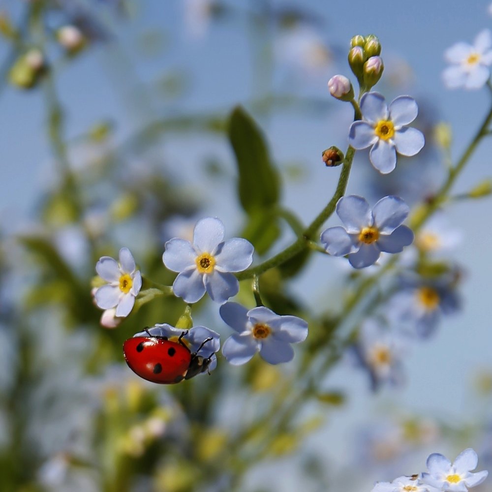 Photograph by Наталья Букарева