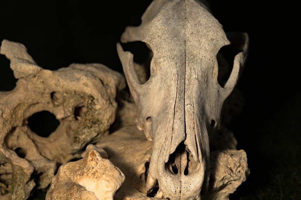 Photograph by Aleksander Goldshtein