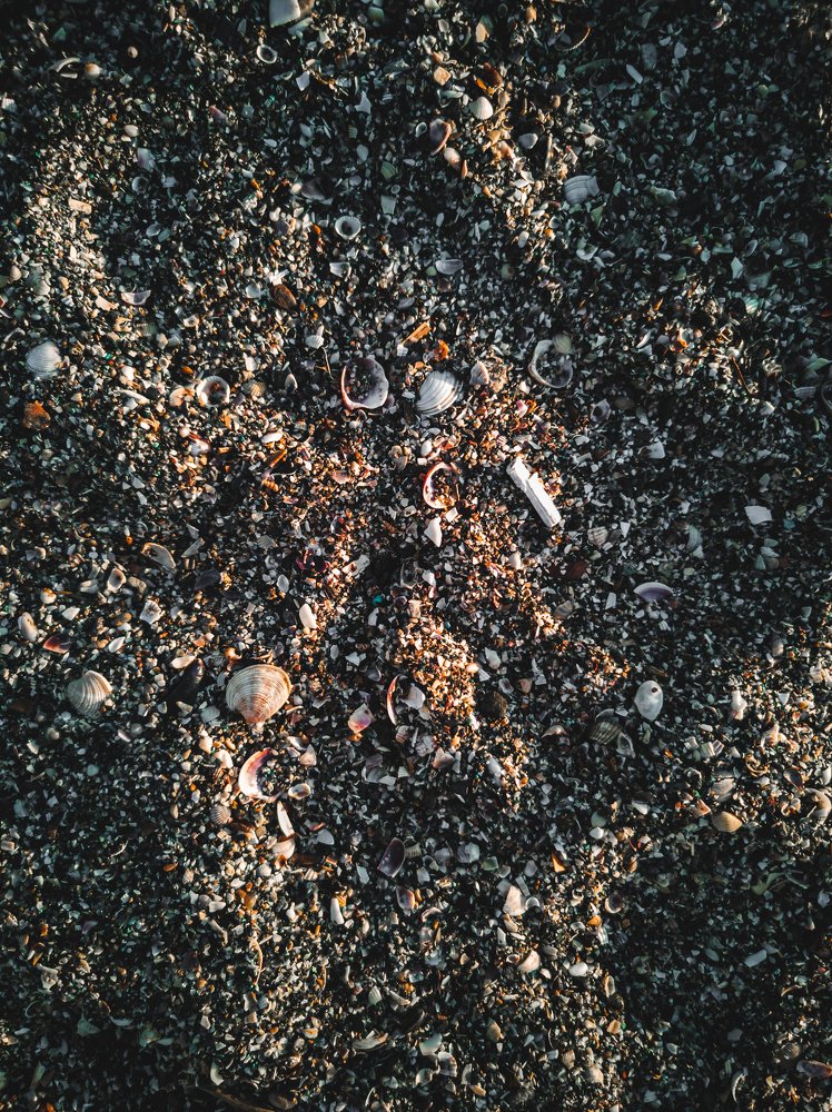 Photograph by Дарья Прусс