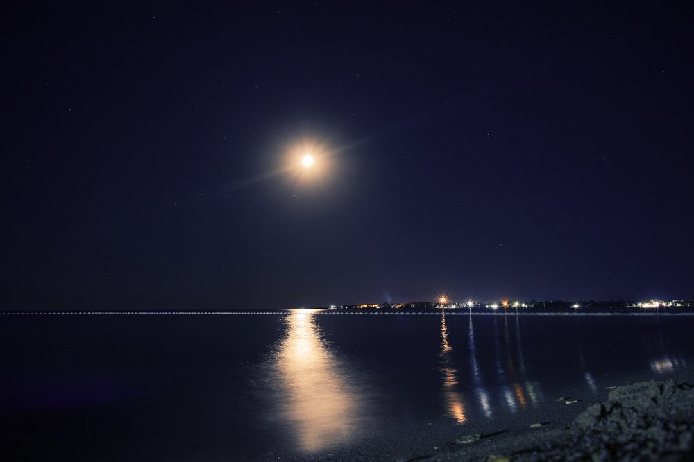 Photograph by Artem Gatin