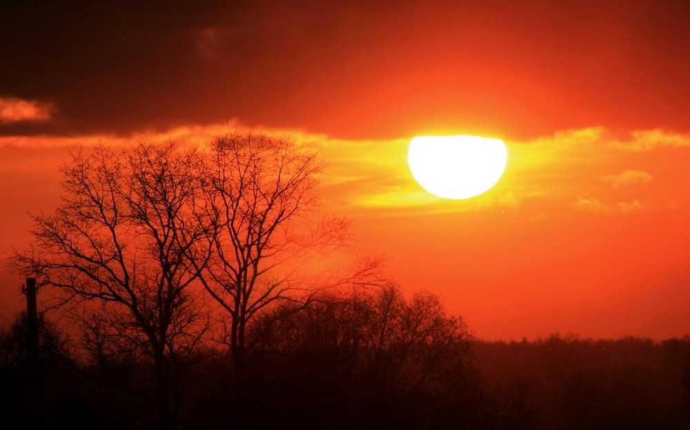 Photograph by Artem Gatin