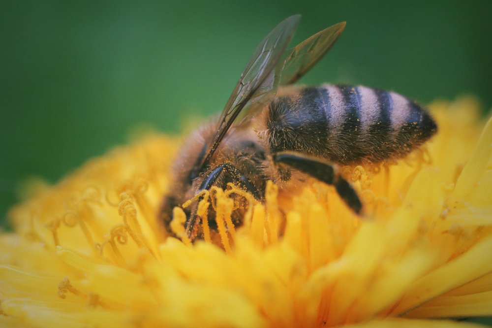 Photograph by Artem Gatin