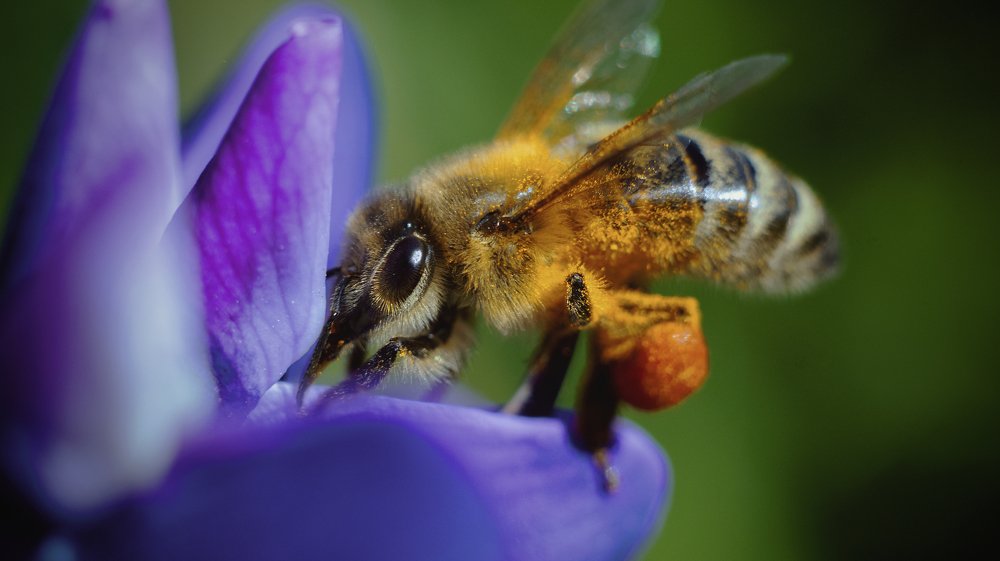 Photograph by Artem Gatin