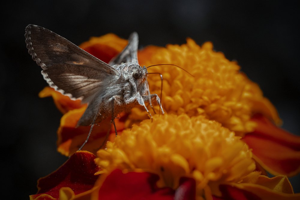 Photograph by Artem Gatin