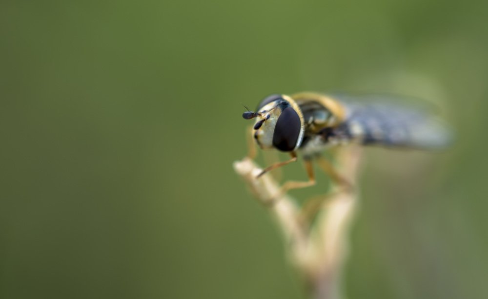 Photograph by Aleksander Goldshtein