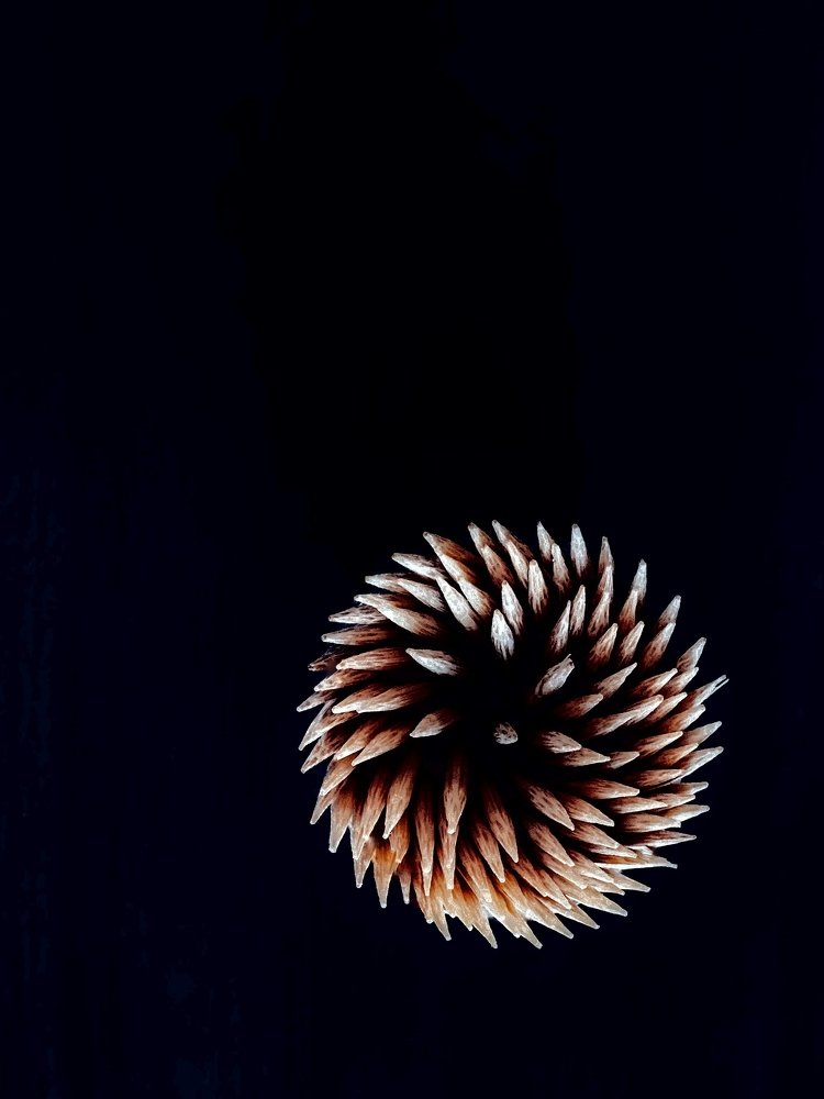 Невероятное рядом... Зубочистки!