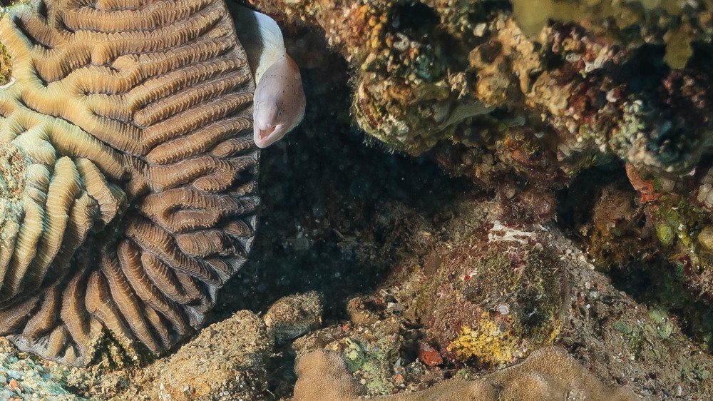 Photograph by Aleksander Goldshtein