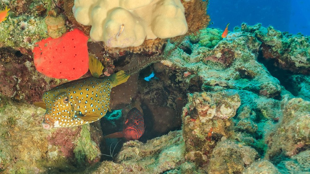 Photograph by Aleksander Goldshtein