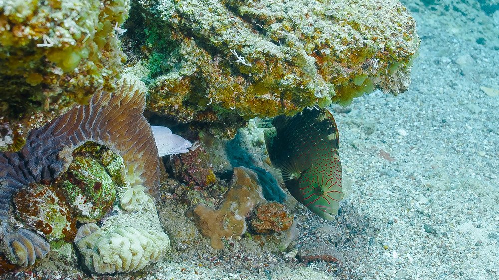 Photograph by Aleksander Goldshtein