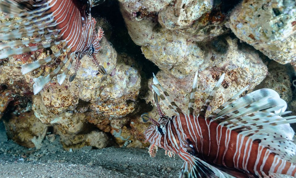 Photograph by Aleksander Goldshtein