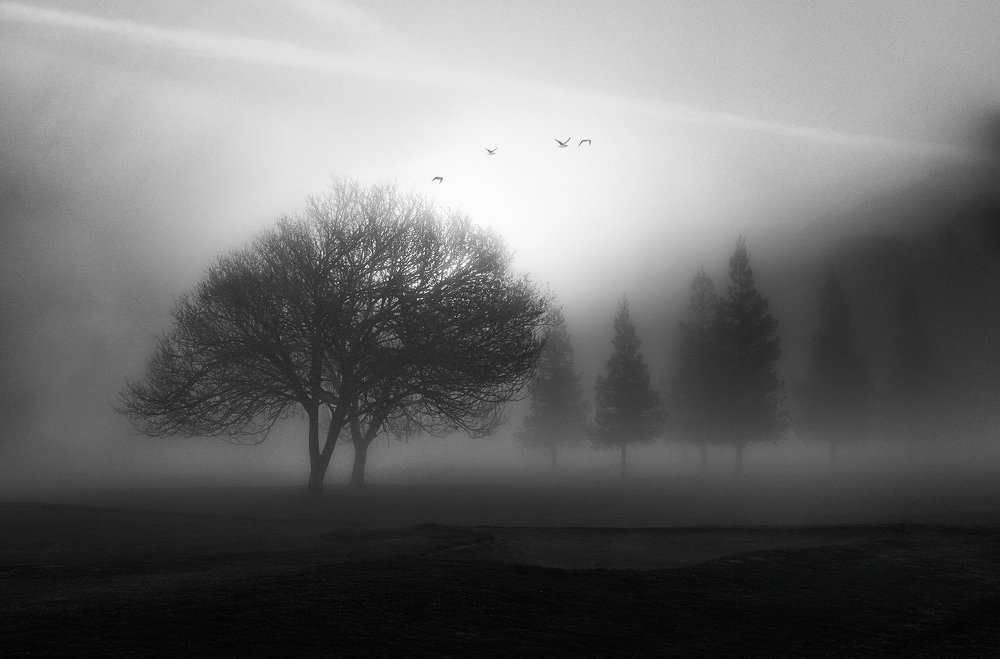 Фотография автора Aidong Ning