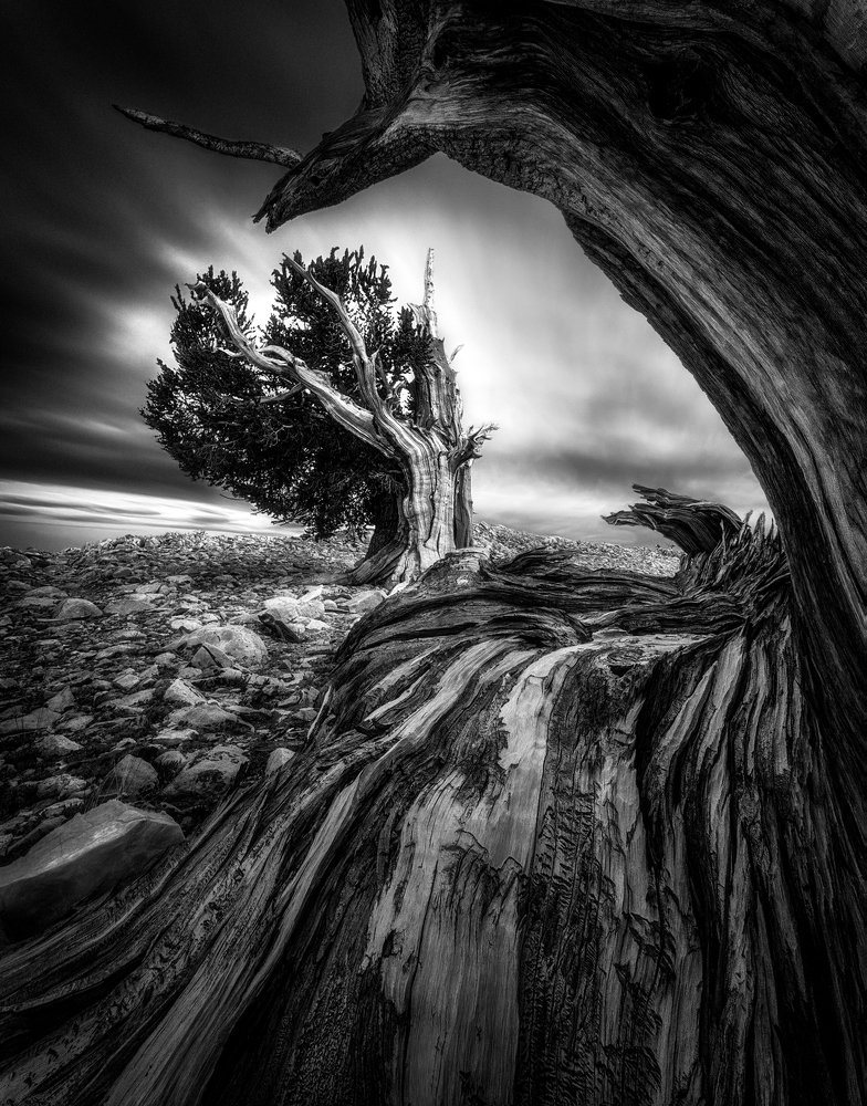 Фотография автора Aidong Ning