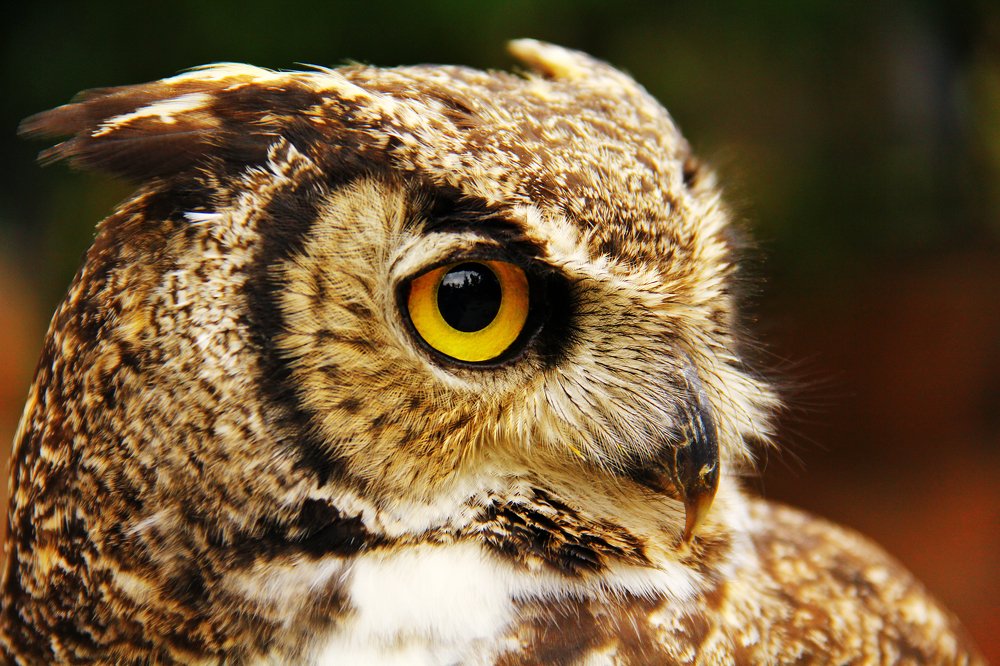 Фотография автора Tamara Maria Blazquez Haik