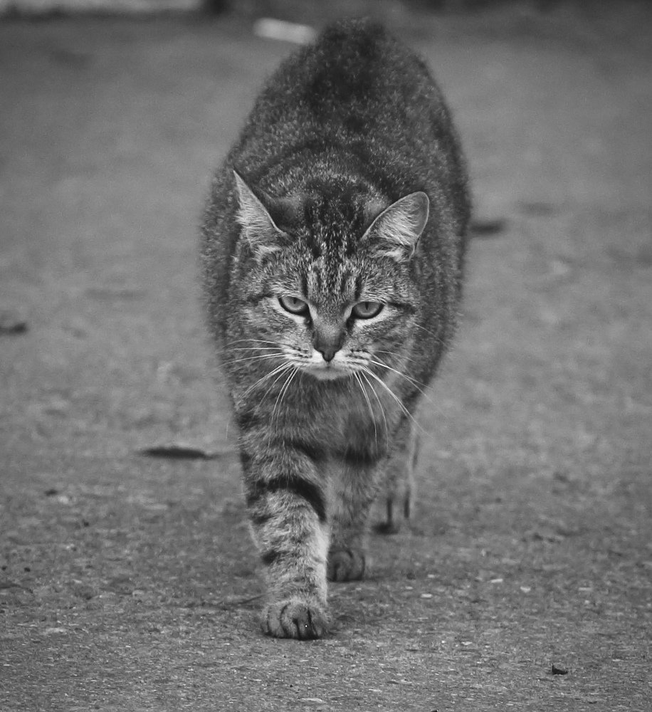 Photograph by Михаил