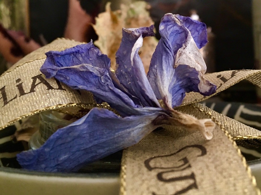 Photograph by Елена Ким