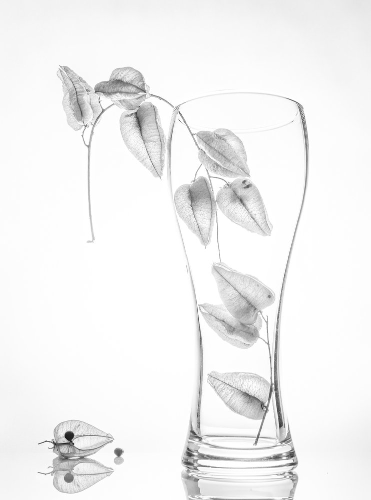 Фотография автора Aidong Ning