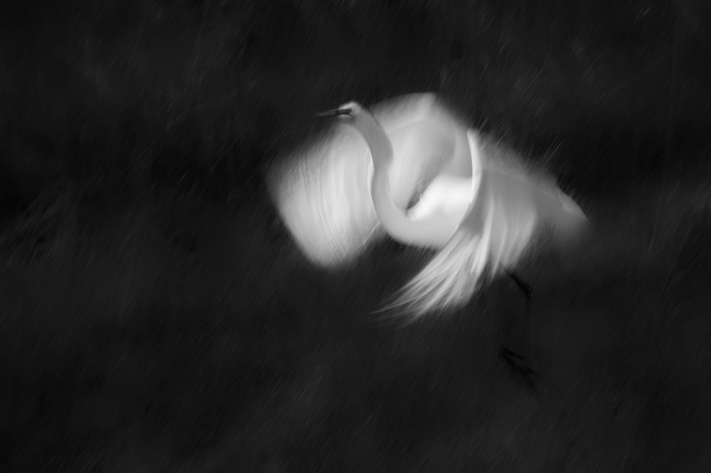 Фотография автора Aidong Ning