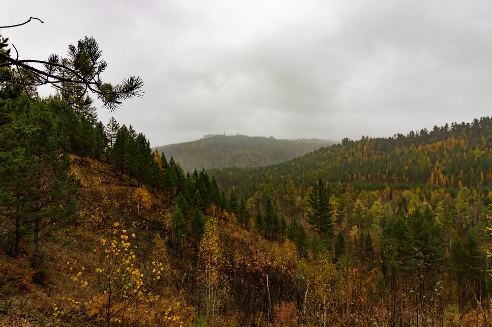 Photograph by Ирина Бондарь