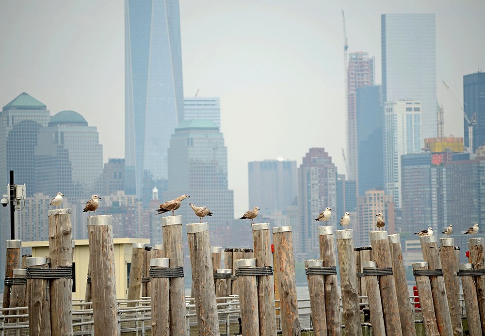 Photograph by Liliana Grup