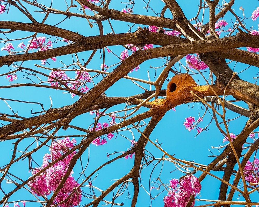 Colorfull Home