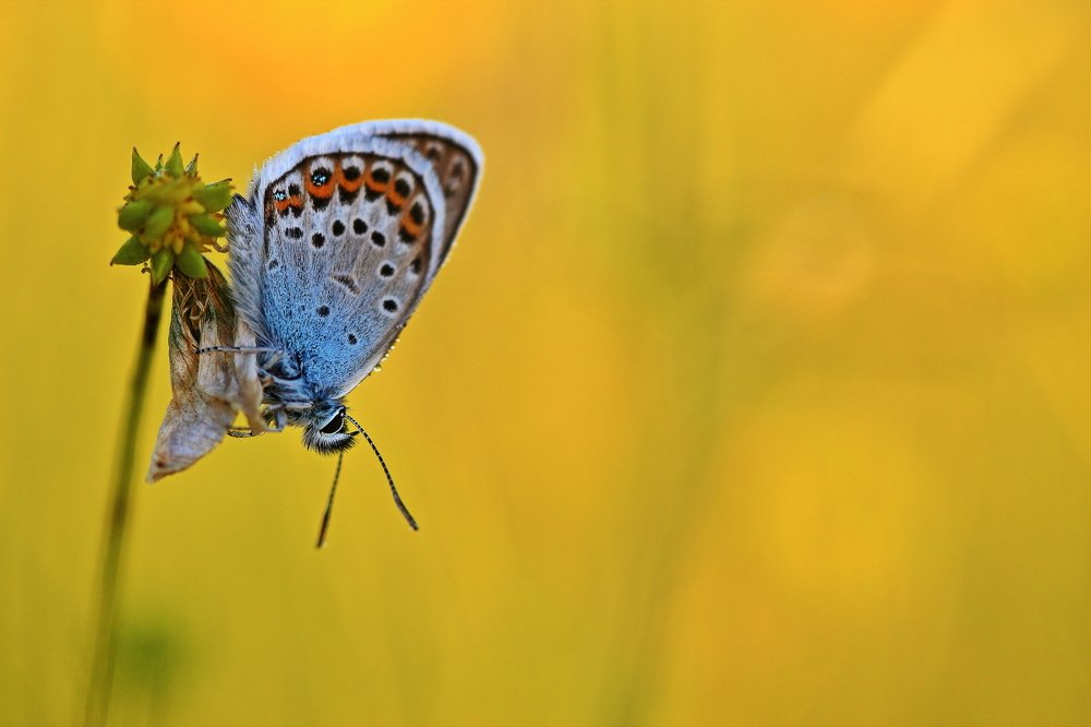 Photograph by Олег Резенов