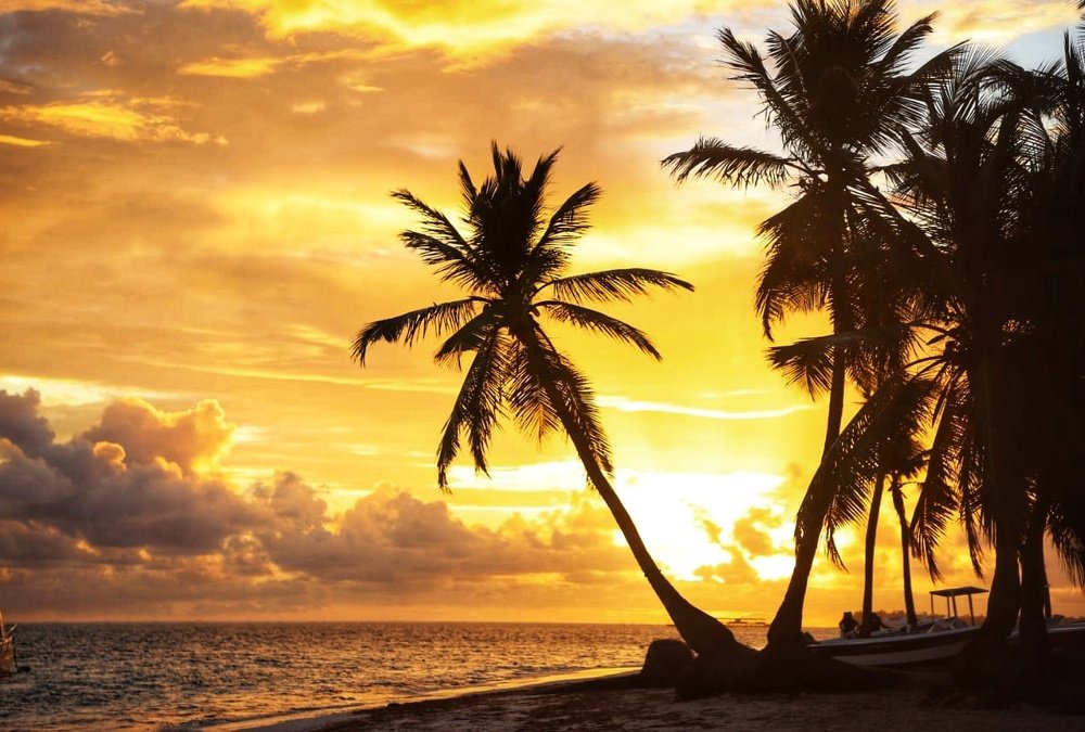 Photograph by Fadi Wael