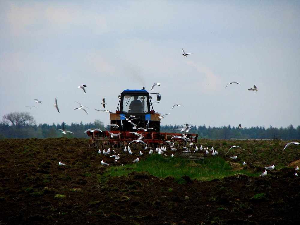 Photograph by Андрей