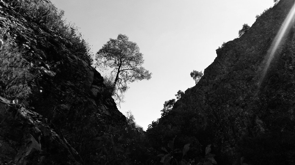 Photograph by Агнаев Андрей