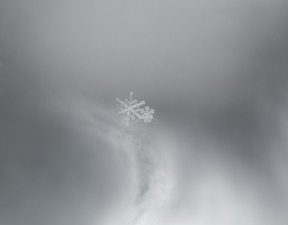 Photograph by Татьяна Паламарчук