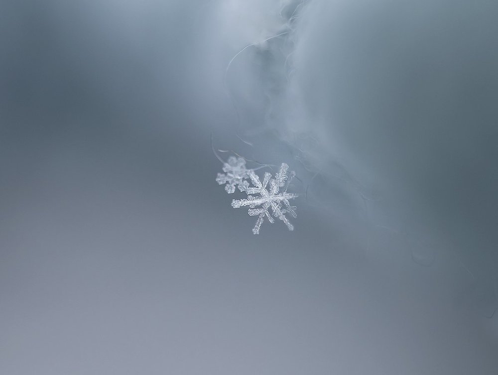 Photograph by Татьяна Паламарчук